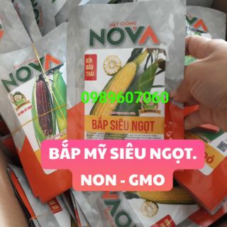 Giống bắp Mỹ siêu ngọt gói 50g > 220 hạt