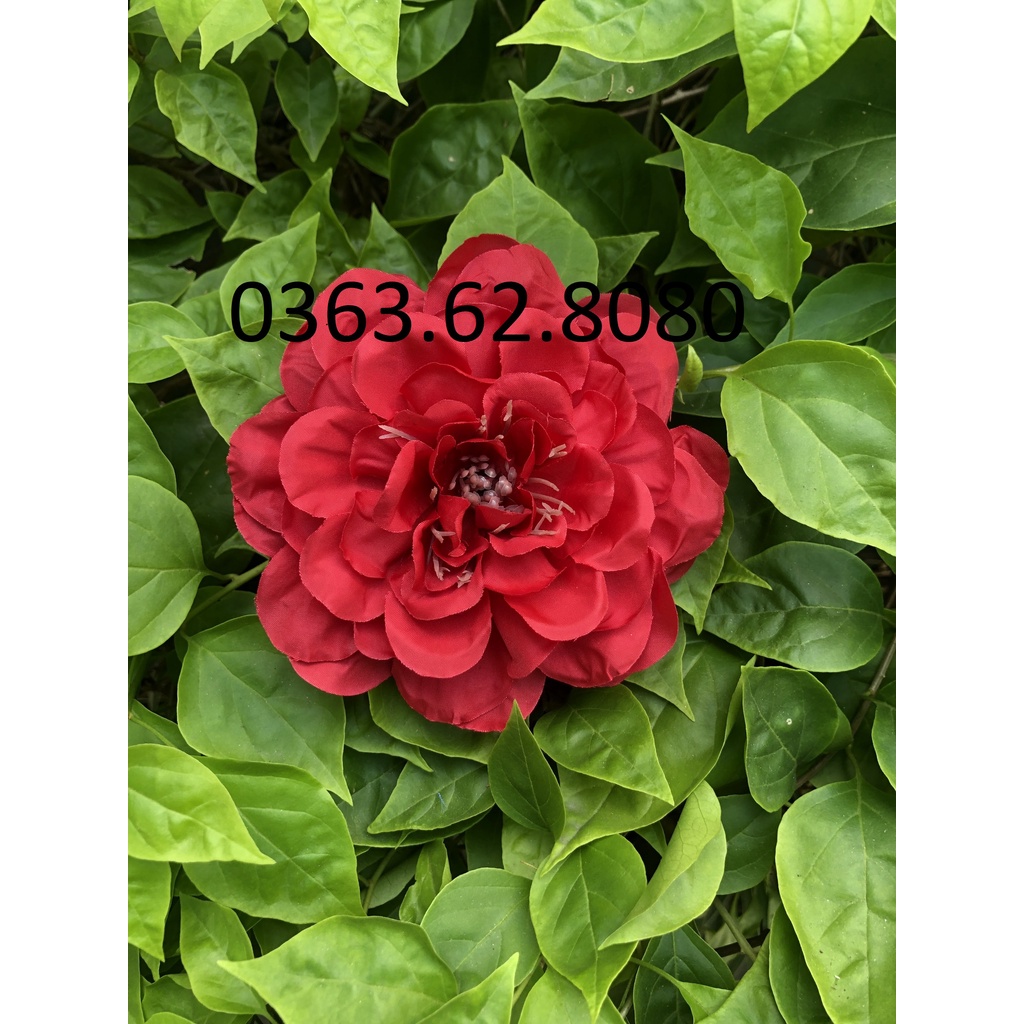 Đầu bông thược dược vải trang trí oản tài lộc, oản ngọc, tháp bánh, nước, giỏ quà Tết