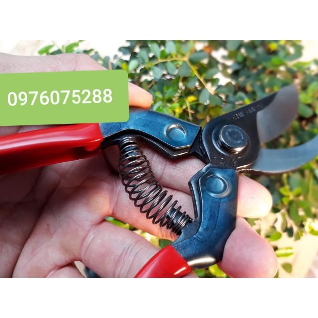 ✂️✂️🇯🇵 Kéo Nhật Chikamasa, dòng mới