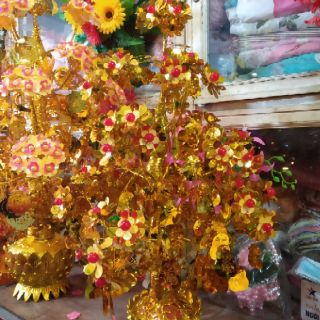 Cây cành vàng lá ngọc