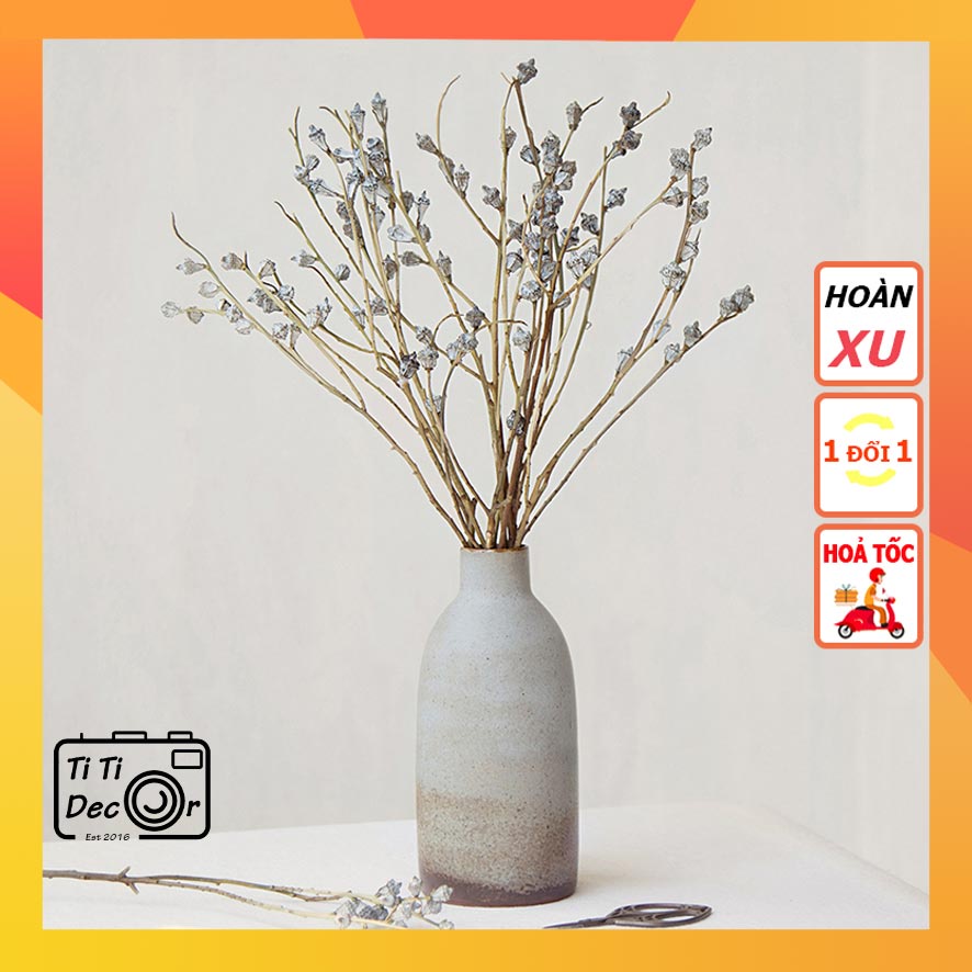 Bó Hoa Bạch Đàn Khô Decor TiTi Decor Cắm Bình Hoa Hoa Khô Trang Trí Phòng Khách Phong Cách Bắc Âu