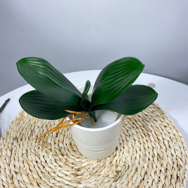 Cây Lan Giả Có Rễ, màu xanh hàng loại 1 (5 lá) trang trí, decor nhà, cắm để bàn, chụp ảnh.