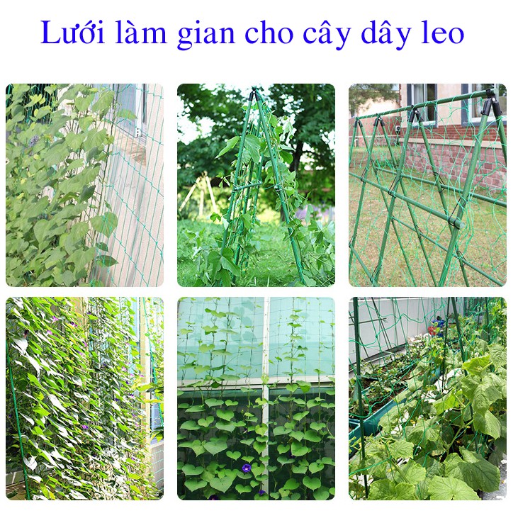 Lưới nhựa làm giàn cho cây dây leo, làm gian cho cây nho, làm giàn cho cây dưa leo, làm giàn cho cây su su