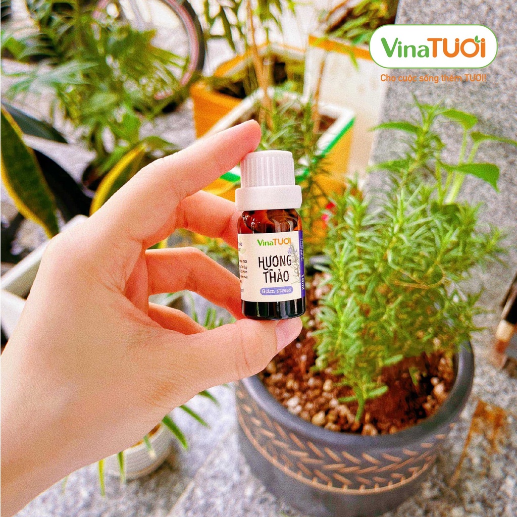 Tinh dầu nguyên chất khuếch tán hương Đồng VINA TƯƠI 10ml xông đuổi muỗi khử mùi hương thơm