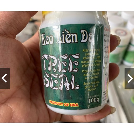KEO LIỀN DA CÂY TREE SEAL lọ 100gram