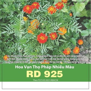 Vạn thọ pháp nhiều màu(0.1g)