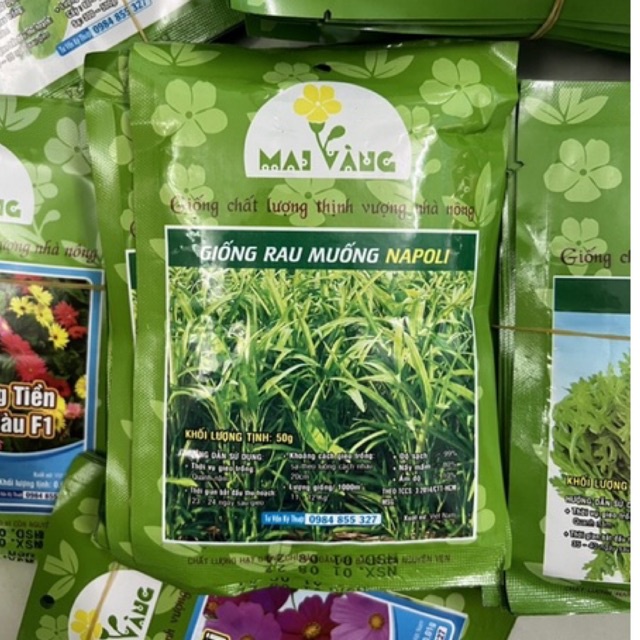 Hạt giống rau muống dễ trồng, độ nãy mầm cao