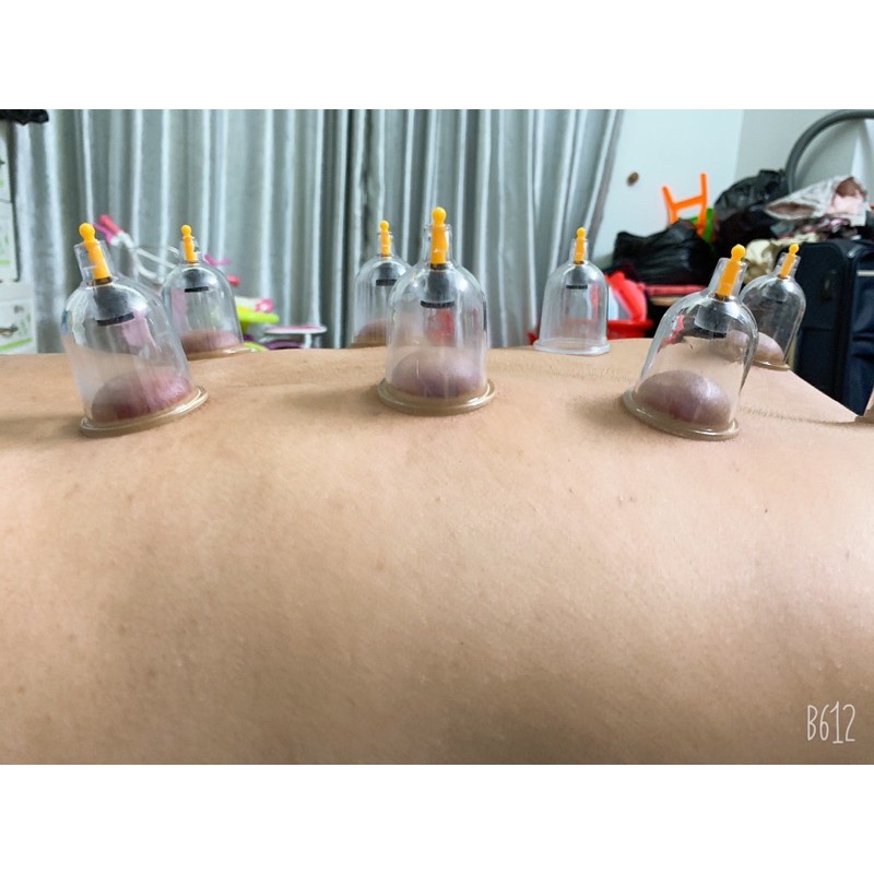 LẺ LY GIÁC HƠI DUY THÀNH XUẤT KHẨU