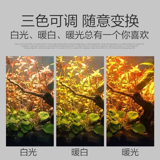 Đèn rọi 7W 3 chế độ ánh sáng
