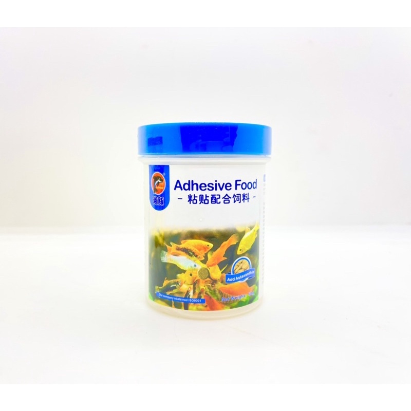 Thức ăn dán cho cá cảnh Adhesive Food cám dán vào thành bể, thức ăn cá cảnh