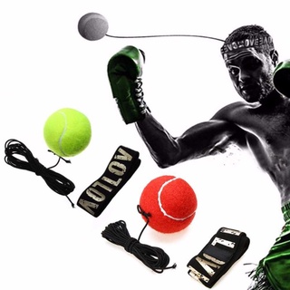 Bóng Phản Xạ Tập Boxing - Hc00408