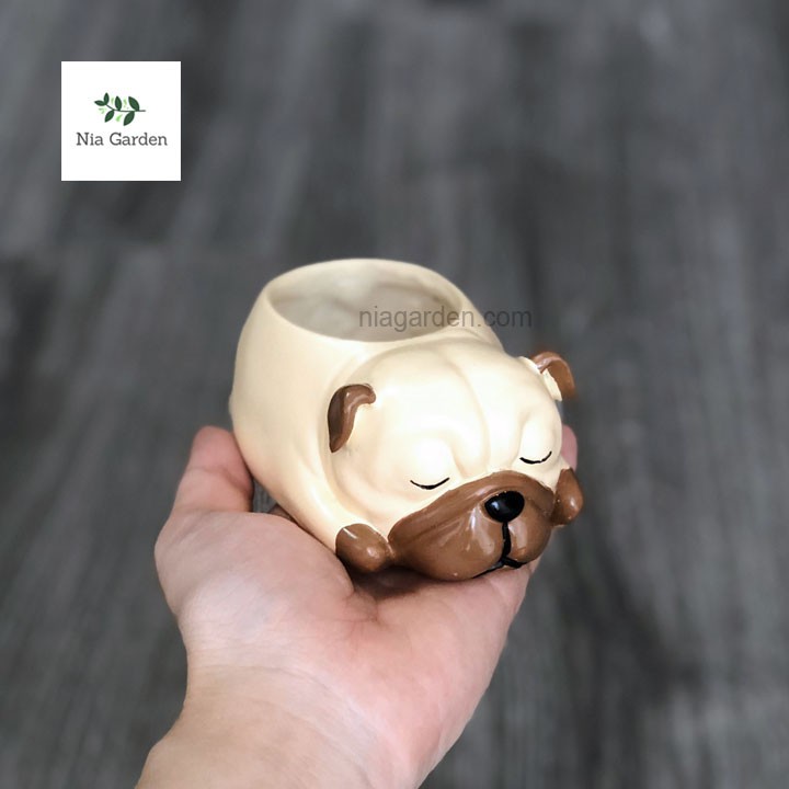 Chậu chó Pug ngủ chậu nhựa trồng cây để bàn sen đá mini xương rồng Nia Garden N4