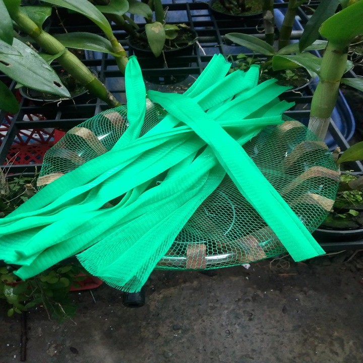 10 túi lưới lót chậu trồng lan