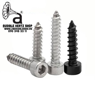 Vít gỗ, vít lục giác bắt loa mạ niken m2, m3, m3.5, m4, m5