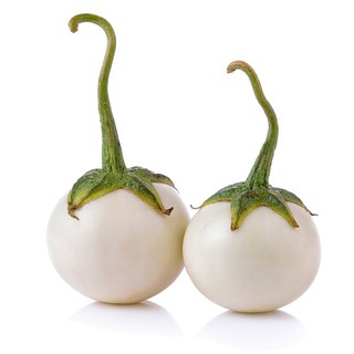 20 HẠT GIỐNG CÀ PHÁO TRẮNG