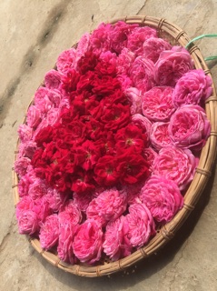 Nước cất hoa hồng HandMade