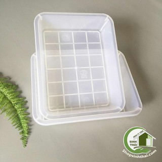Khay nhựa trắng trong suốt , mâm nhựa trắng lớn đựng thực phẩm, đổ rau câu, chế biến đồ ăn 28cm x 35cm x cao 7,5cm
