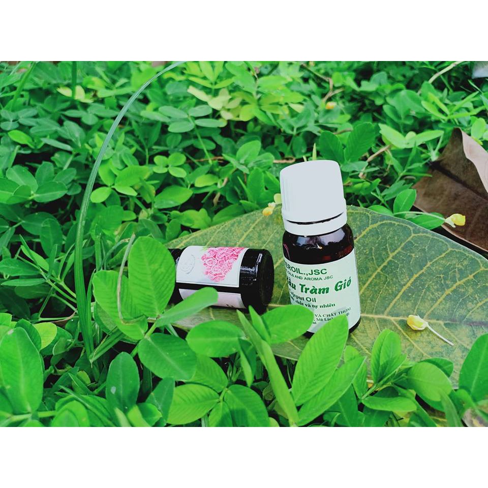 Combo 3 tinh dầu tràm gió  (20ml)