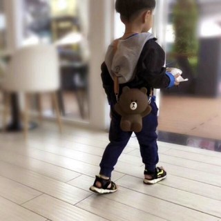 Túi gấu Brown