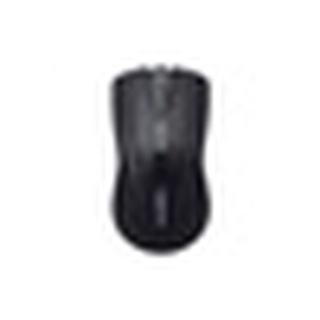 Chuột vi tính Rapoo N1162 USB