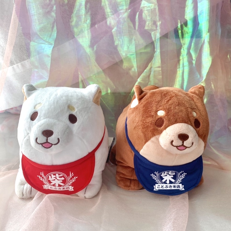 Gấu bông chó shiba