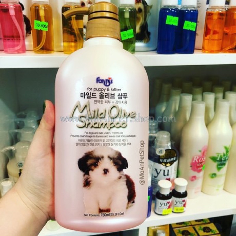 Sữa Tắm Gội Forbis Hàn Quốc [ Không cay mắt]