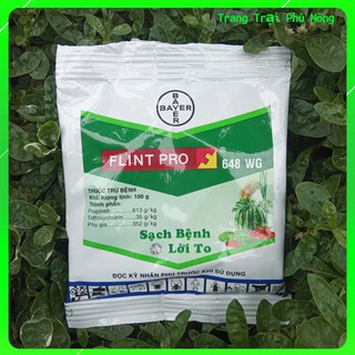 Thuốc Trừ Bệnh Thán Thư, Thối Nhũn FLINT PRO 648 WP - Gói 100g