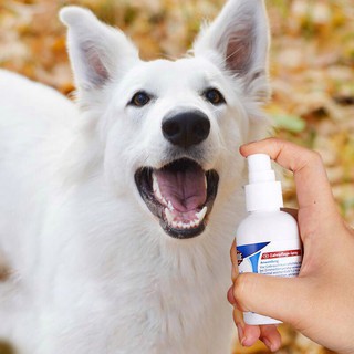 Xịt thơm miệng cho thú cưng TRIXIE Zahnpege Spray 50ml - Dental Care - Chai xịt thơm miệng cho chó mèo