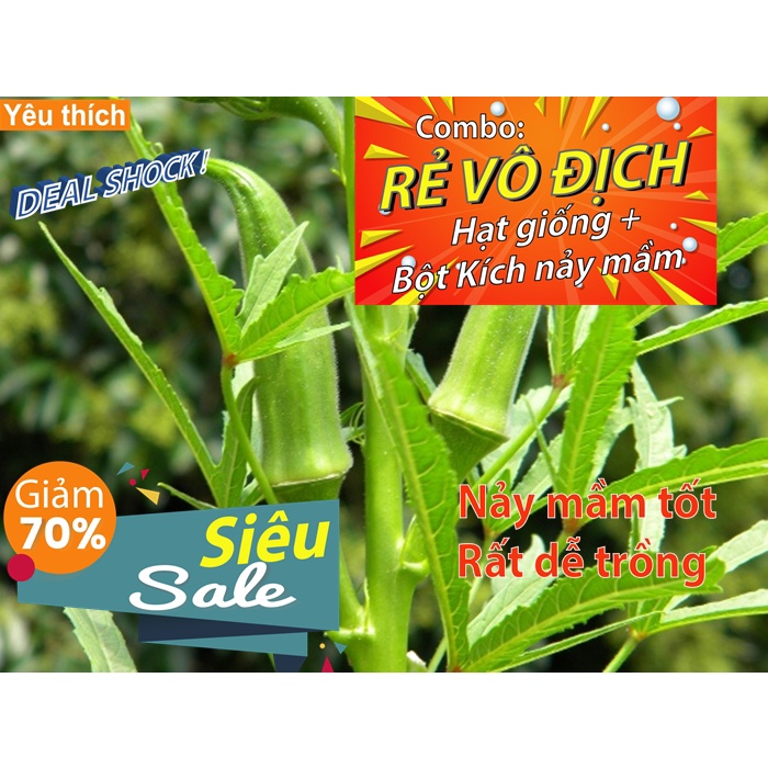 [Combo rẻ vô địch HẠT GIỐNG + GÓI  KÍCH NẢY MẦM] - 5 hạt giống quả đậu bắp xanh