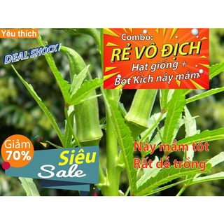 - 5 hạt giống quả đậu bắp xanh