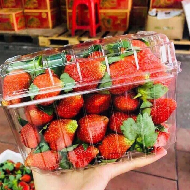 20 hộp đựng hoa quả 1kg