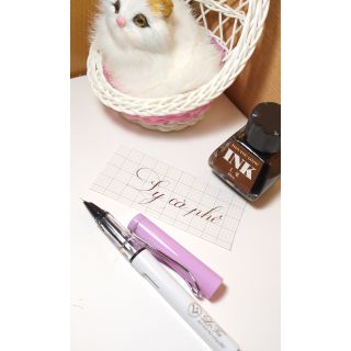 Combo bút 368 và mực Ink cà phê