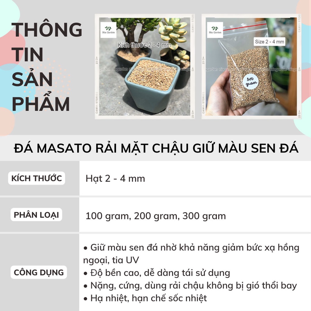 Đá masato giữ màu sen đá rải mặt chậu xương rồng kiểng lá trộn giá thể trồng cây Nia Garden N6