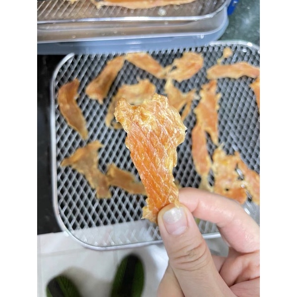 MÁY SẤY KHO THỰC PHẨM, HOA QUẢ MORPHY RICHARD