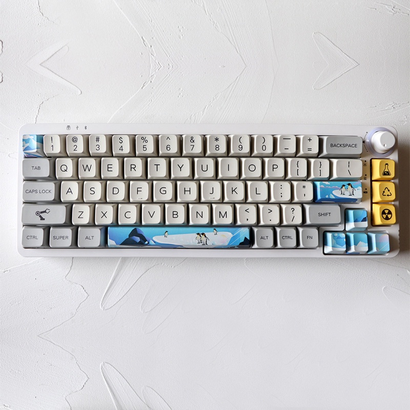 Set 8 Nút Bàn Phím OEM PBT Nhuộm Màu Năm Mặt Cho Bàn Phím Cơ Kailh Gateron Cherry MX