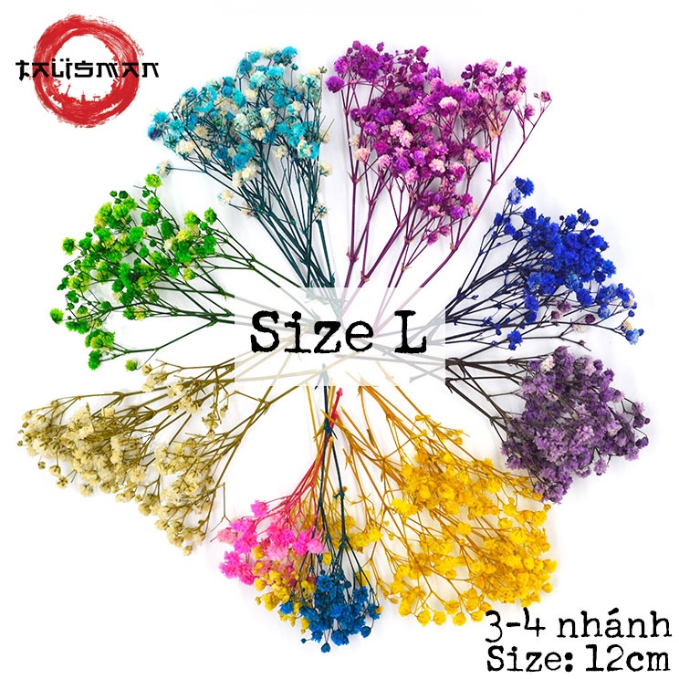 Nhánh hoa baby mini khô vĩnh cửu làm quà tặng, trang trí decor vintage, resin, trang trí