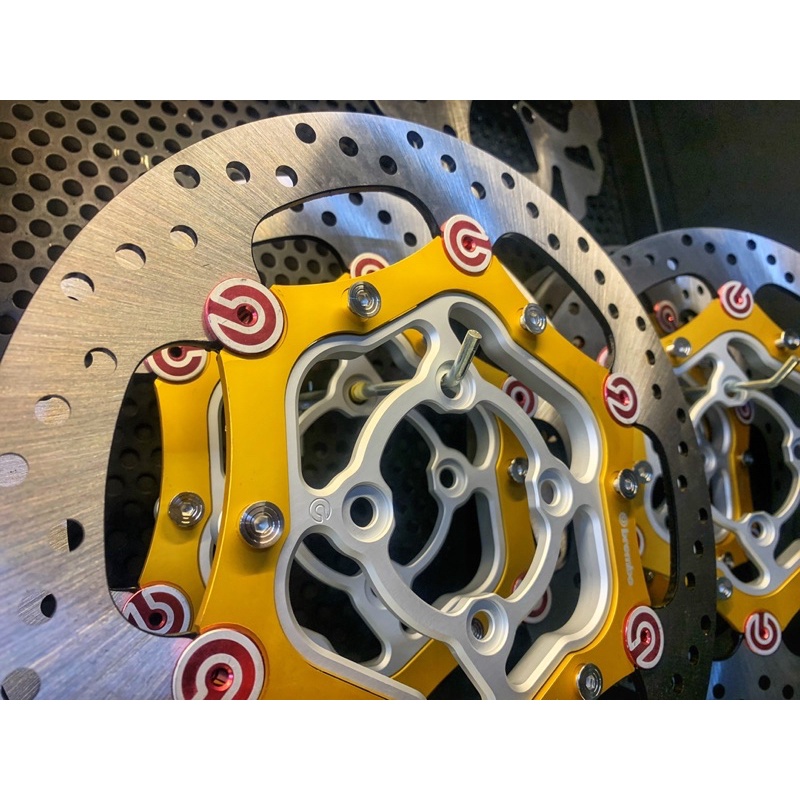 Compo Đĩa OverSize Full Lòng Kèm Ốc Lòng Đĩa Salaya