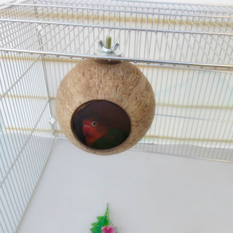 Tổ Bằng Vỏ Dừa Cho Thú Cưng Vẹt Sóc Hamster Dễ Thương