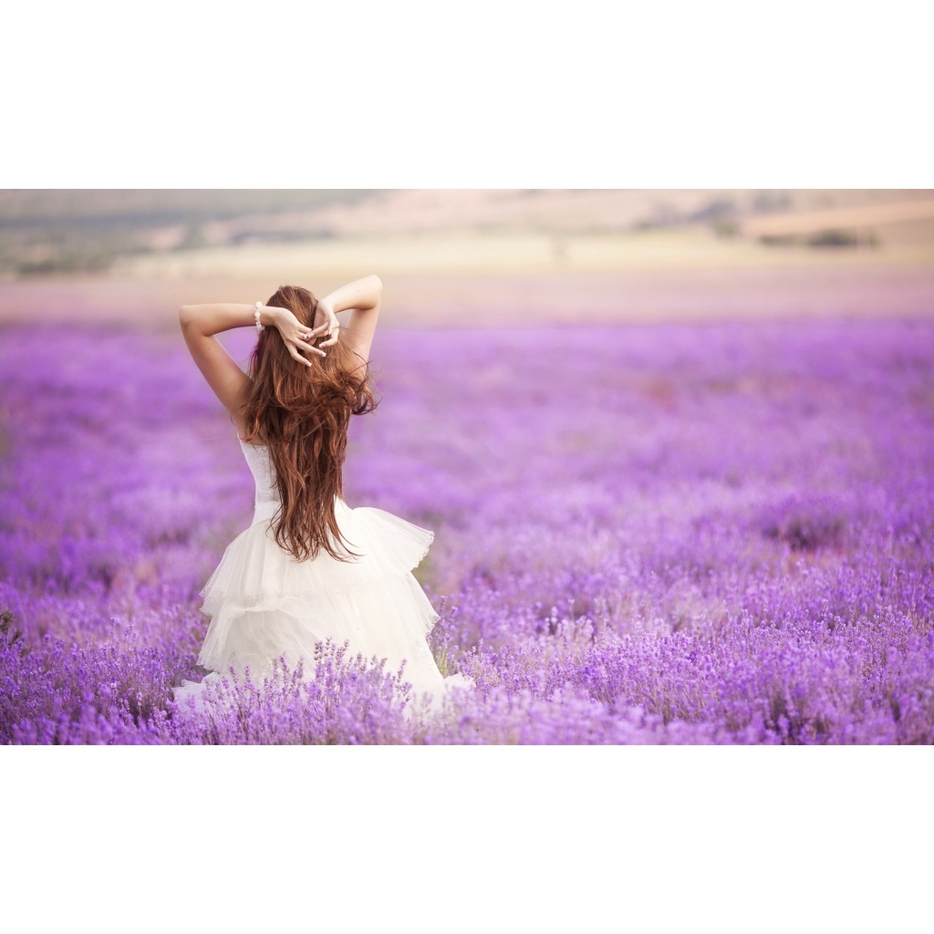 Hạt giống hoa oải hương (hoa lavender) - rau củ quả trồng chậu, sân vườn ban công nảy mầm cao 100 hạt