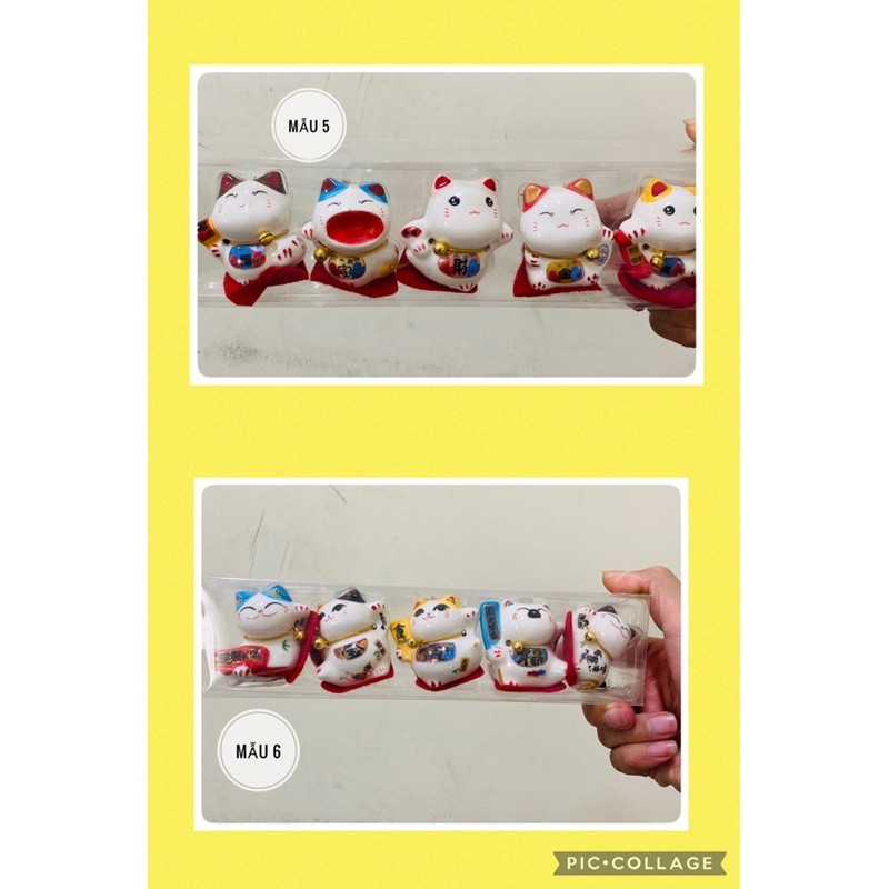 [ 11 MẪU] 🔥 FREESHIP 🔥 Bộ 5 mèo thần tài sứ mini, hộp acrilic chống va đập. | BigBuy360 - bigbuy360.vn