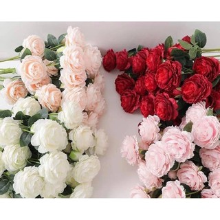 Set 5 Bông Hoa Hồng Lụa
