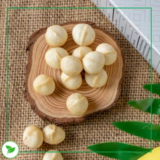 Hạt Làm Sữa - Set Yến Mạch Mix
