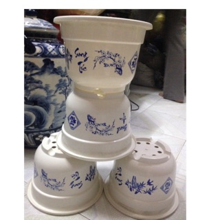 Chậu nhựa trồng cây