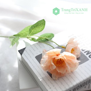 Hoa Lụa - Lan Tường Loại 1 Giống Thật