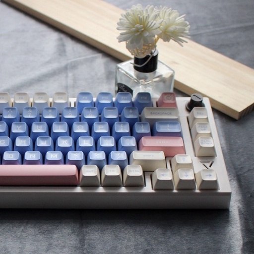 Bộ nút bàn phím cơ Keycap SA AIFEI GIFT - ABS Doubleshot - 170 phím