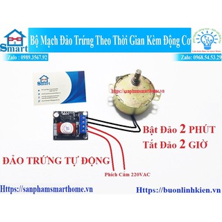 Mạch đảo trứng