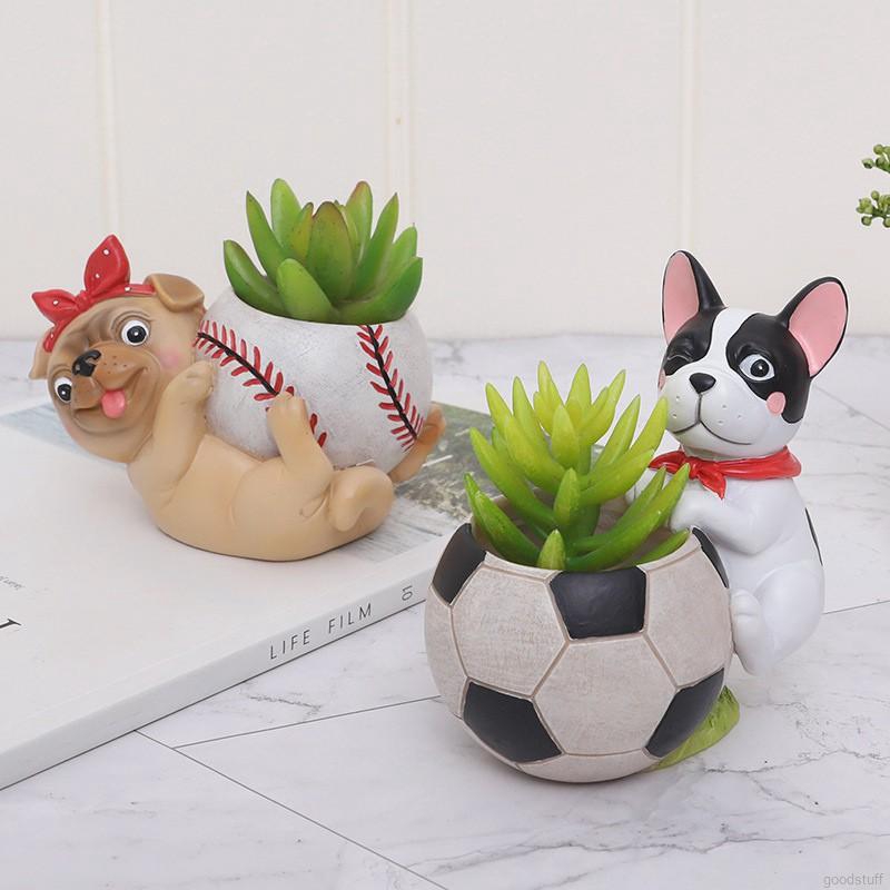 Chậu hoa hình quả bóng để bàn trang trí tiện lợi
