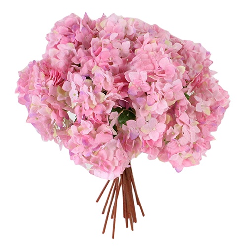 Hoa Cẩm Tú Cầu Nhân Tạo Dùng Trang Trí Nội Thất