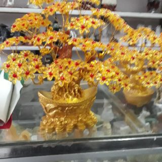 HOA ĐÁ THẦN TÀI (giảm 30%)