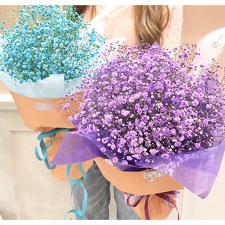 Hoa baby khô HOA BABY BLOOM decor chụp ảnh, trang trí nhà cửa, phòng ngủ phòng cách vintage
